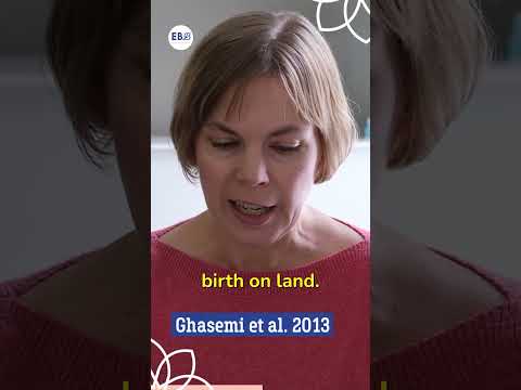 Video thumbnail: Waterbirth research: a short look at randomised controlled trials